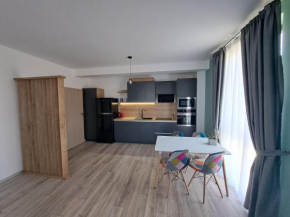 Velvet Premium Apartments Baile Felix